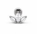 Lyra Cluster White
