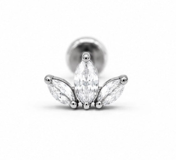 Lyra Cluster White